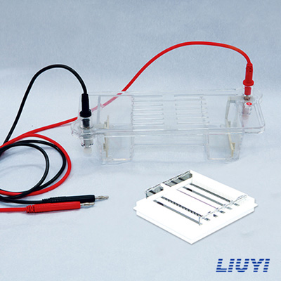 北京六一DYCP-32B核酸电泳仪琼脂糖水平电泳仪(中号)