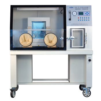 上海跃进厌氧培养箱YQX-I/II/III