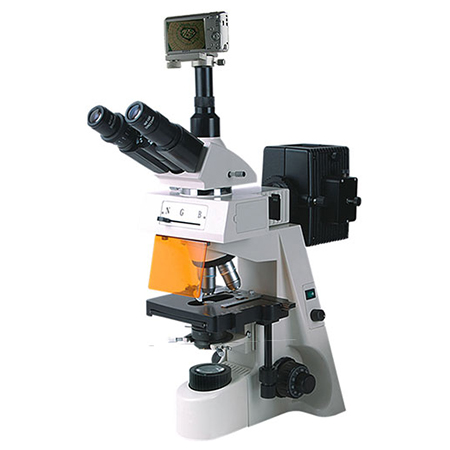 BM-19AYS荧光显微镜（数码、落射）